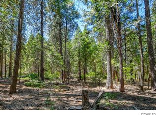 2546 Cheyenne Way, Arnold, CA 95223