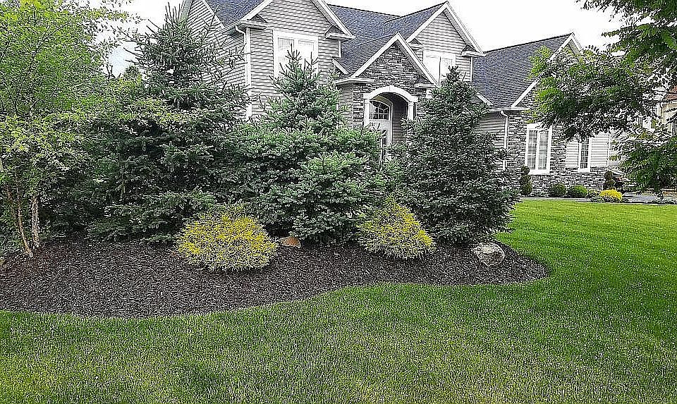 2nd image of 691 Park Vista Trl