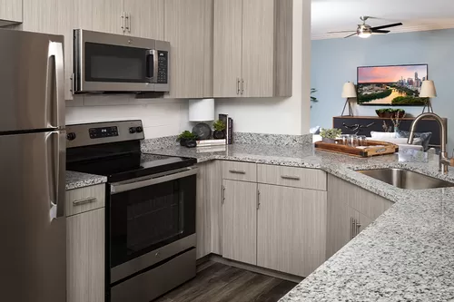 Upgraded, contemporary kitchens with stainless steel appliances - The Madison Apartments