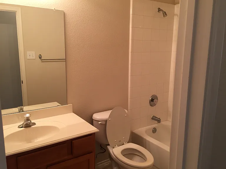 Guest full bathroom