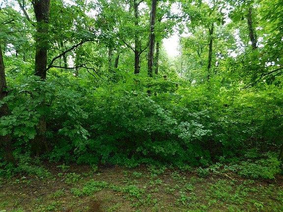 4th image of 3 Ninevah Rd