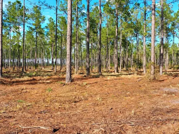 NW County Road 235 Lot 23, Lake Butler, FL 32054