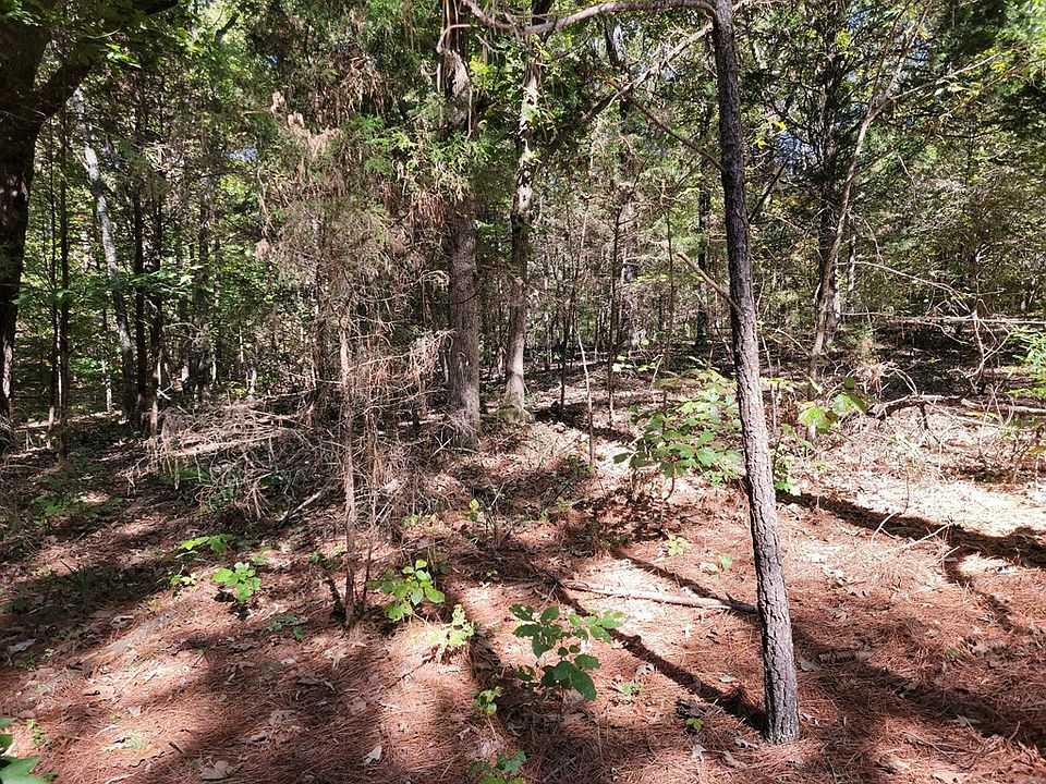 2nd image of 33 Zig Zag Rd