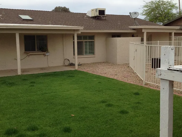 Backyard