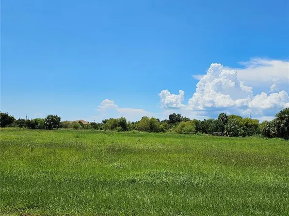 Smilodon Trl Lot 5, Ruskin, FL 33570