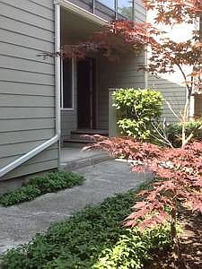 3rd image of 2939 76th Ave SE APT 41A