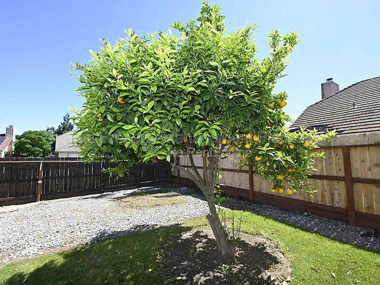 2233 E Christopher Dr — Photo 25