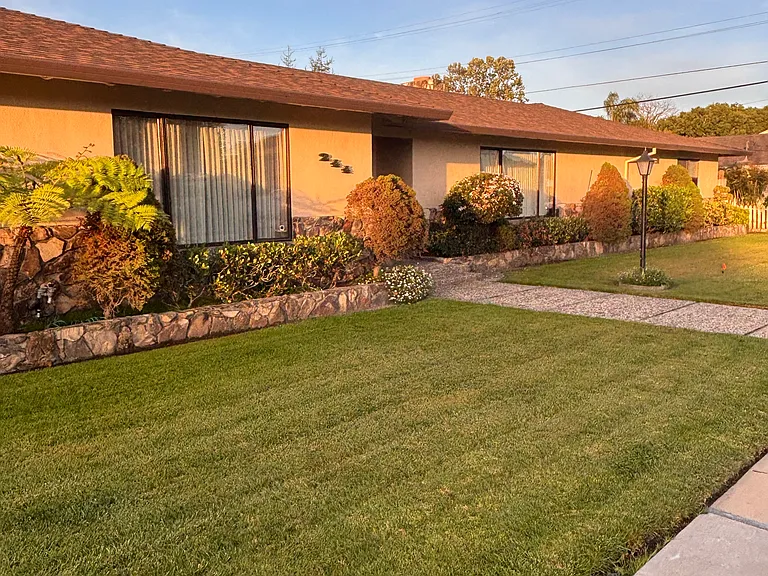 244 Pine St — Photo 3