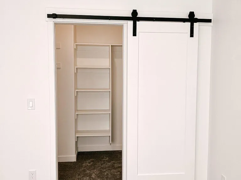 Primary closet with barn door