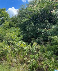 276 Britt Mountain Ln #0, Talladega, AL, 35160