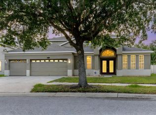 20316 Natures Corner Dr, Tampa, FL 33647