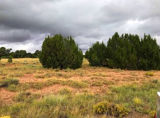 9 County Rd #5204, Concho, AZ 85924
