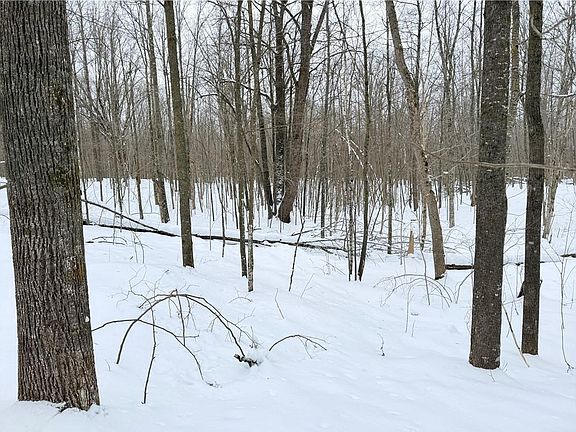 4th image of 20 Acres Star Lake Road