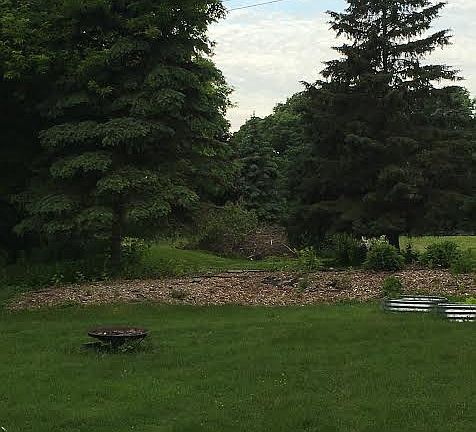 Back Yard - Riverview Garden