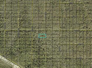 Xx Stycket Ave, Hastings, FL 32145