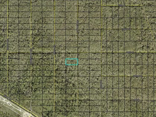 Xx Stycket Ave, Hastings, FL 32145