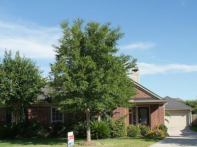 22131 Canyonwood Park Ln, Richmond, TX, 77469