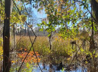 6882 N Fraser St, Georgetown, SC 29440