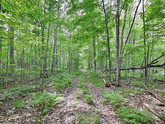 5th image of Lot 5 Bluebird Lane
