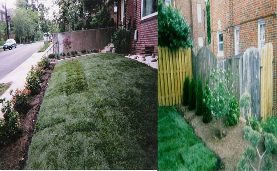 Beautiful Landscaping