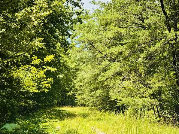 117 Greenwell Rd, Fairfield Glade, TN 38558