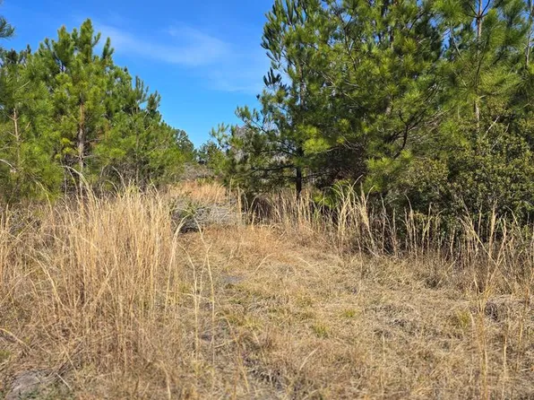 0 Fender Rd, Naylor, GA 31641