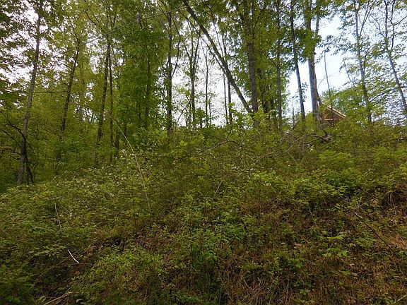2nd image of LOT 12 Lonesome Pine Way