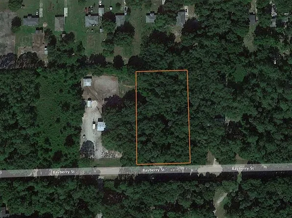 2198 Bayberry St, Bunnell, FL 32110