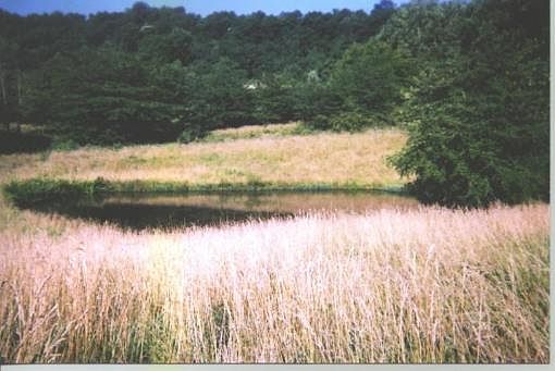 1st image of 6166 County Road 905