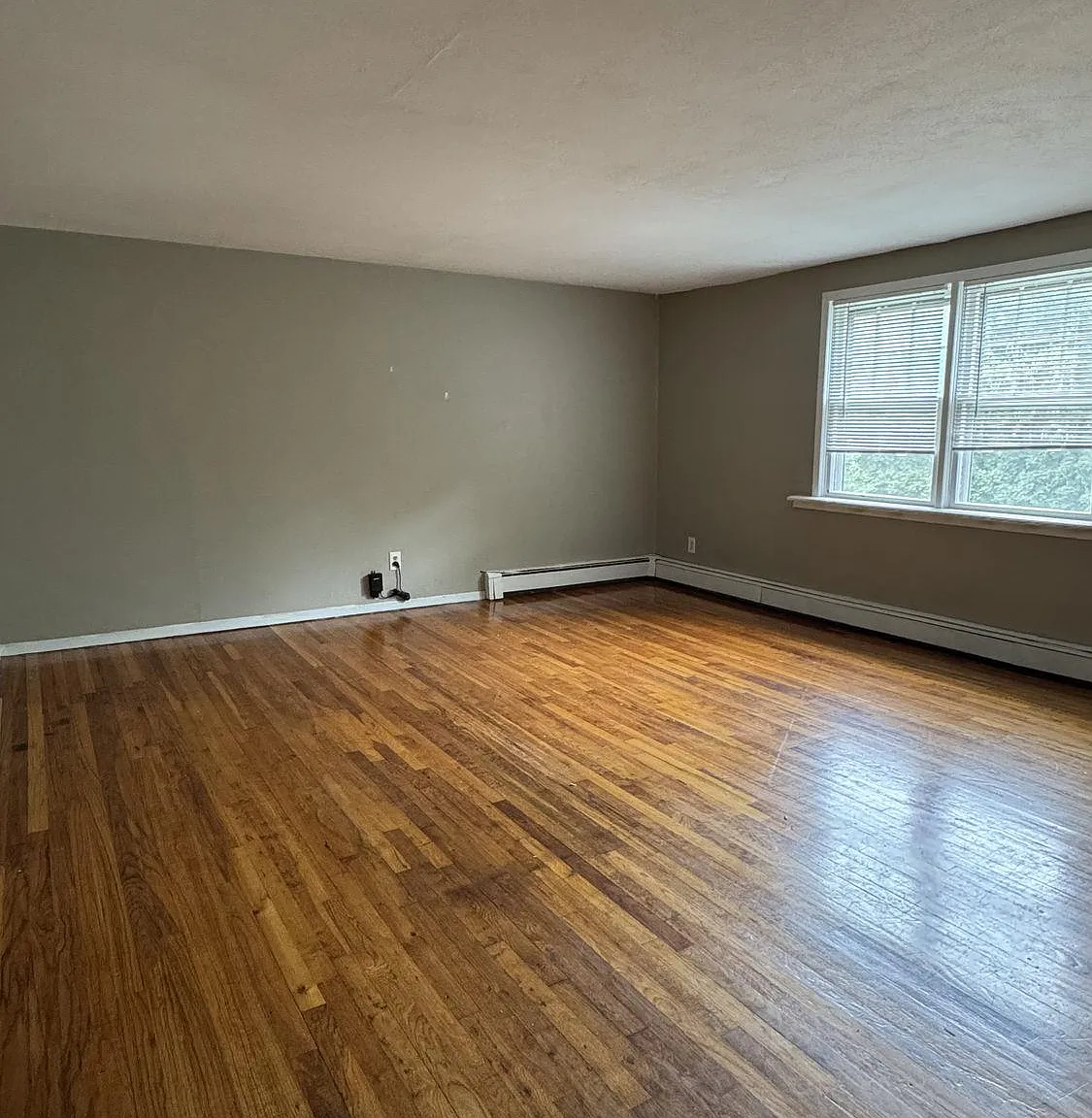 2 bed, 1.0 bath, 1200 sqft, $2,695 — Photo 2