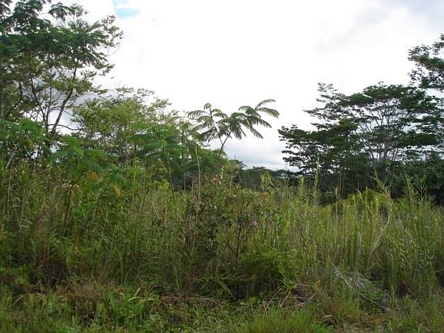 1st image of 16-1240 39th Ave Lot 43