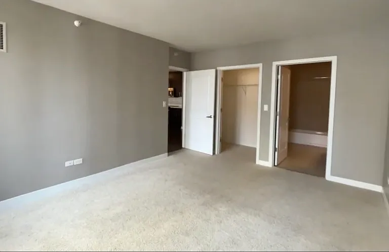739 N Wabash Ave #700 — Photo 5