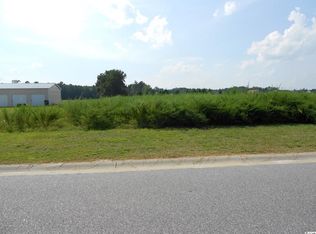 119 Olympus Ln LOT 28, Conway, SC 29526