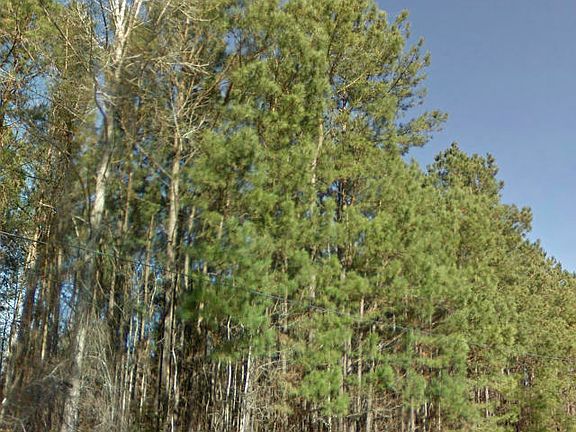3rd image of Near 115 Dudley Drive