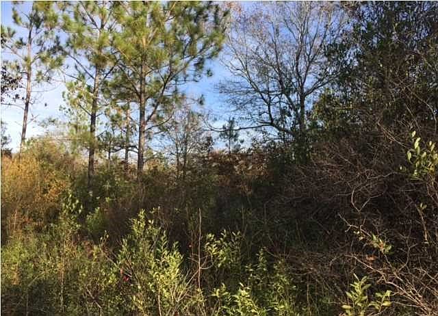 Long Round Property