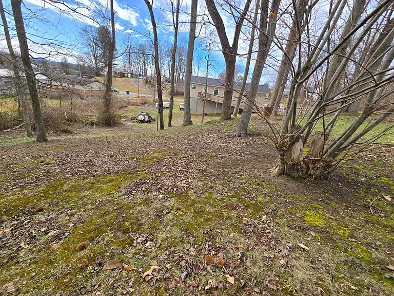 properties yard and view from decks