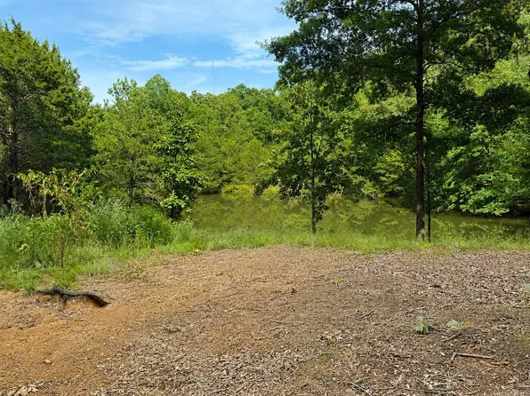 0 County Road 2291, Hartman, AR 72840