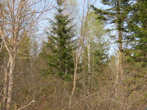 1 Bxx Turnagain Trl, Lutsen, MN 55612