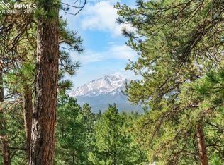 156 E Ridge Dr, Woodland Park, CO 80863