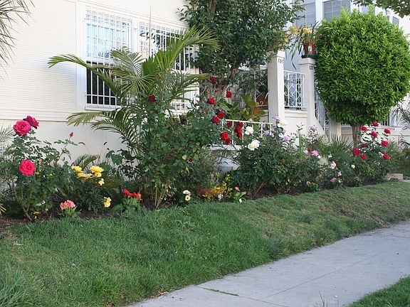 3rd image of 829 Alandele Ave