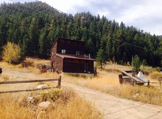 226 W Dumont Rd, Dumont, CO 80436