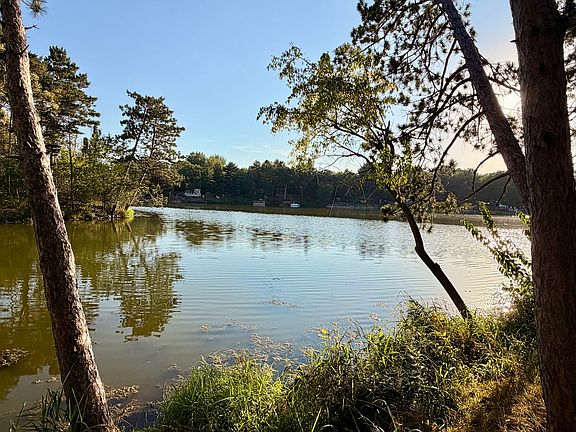 2nd image of 11-292 Woodhaven Lakes