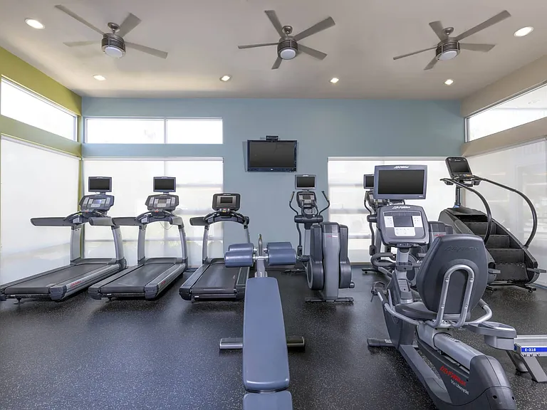 CitySouth — Photo 26