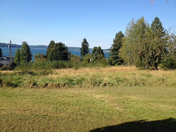 View of the Hood Canal before mowing.