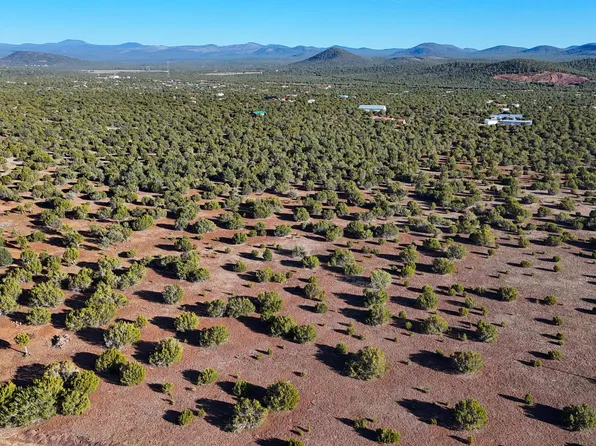 County Road 3187 C D E #21-B, Vernon, AZ 85940