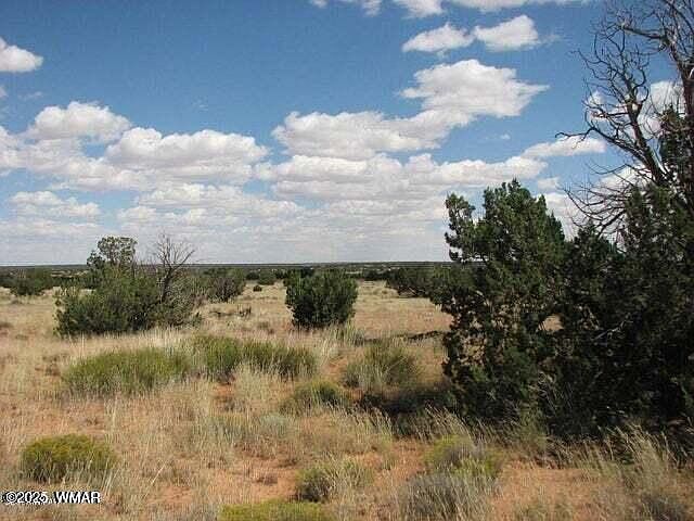 2nd image of 6251 Dry Pasture Run Lot 216
