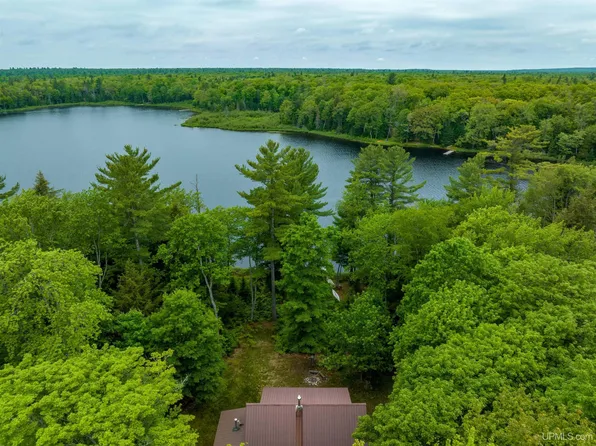 2025 W Carpenter Lake Rd, Seney, MI 49883