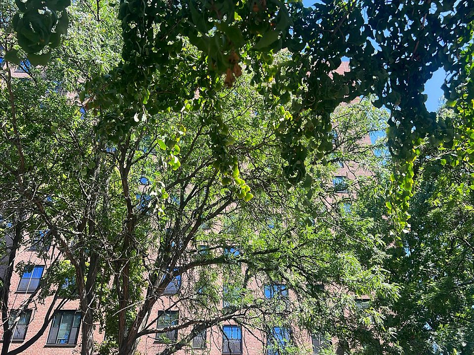 1st image of 361 Clinton Ave APT 7F