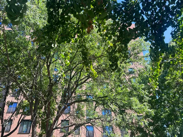 361 Clinton Ave APT 7F, Brooklyn, NY 11238