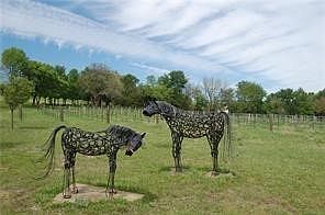 5th image of LOT 8 Oak Dr